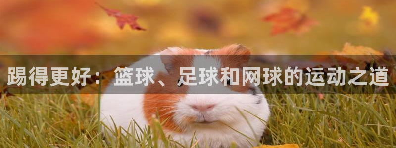 意昂4平台