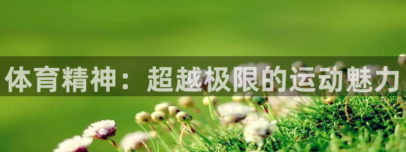 意昂4是谁开发的