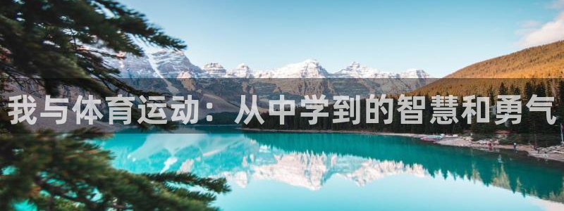 意昂4是谁开发的