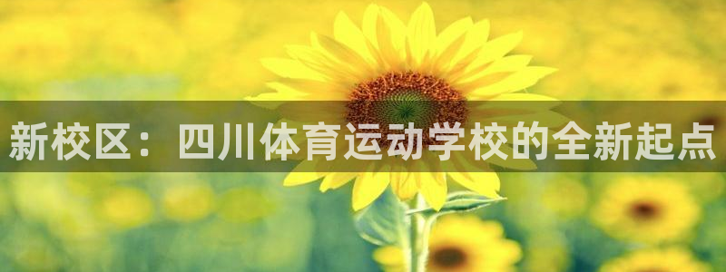 意昂45招商