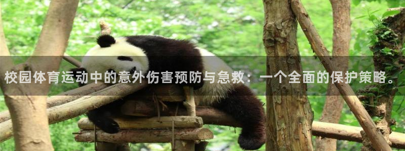 意昂43代理