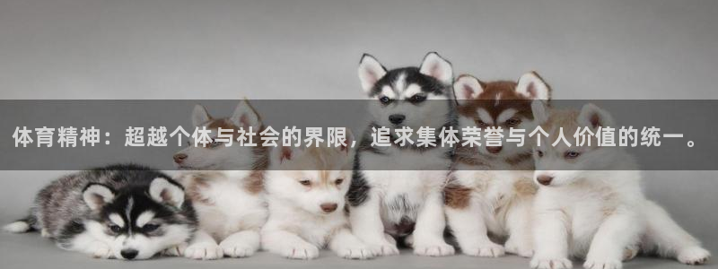 意昂4体育代理申请流程