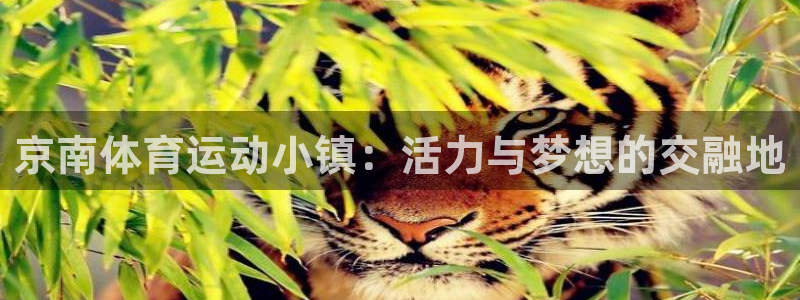 意昂4娱乐