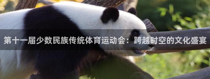意昂43代理