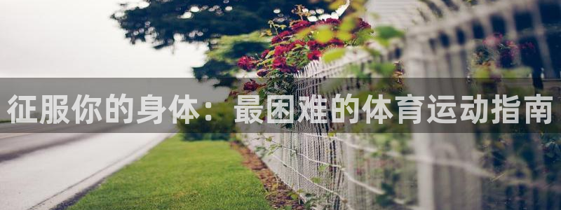 意昂4在线开号