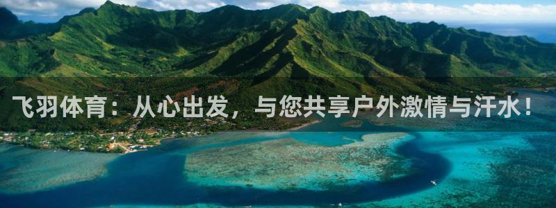 意昂4主管