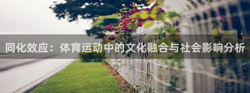 意昂44平台