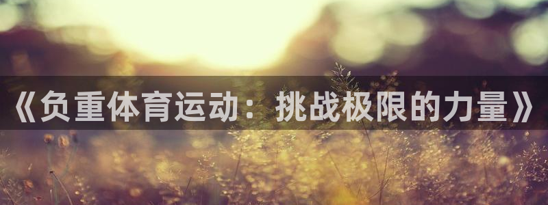 意昂4平台主管